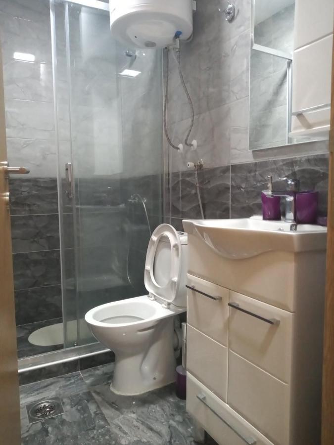 Apartament Lela Josanicka Banja Zewnętrze zdjęcie