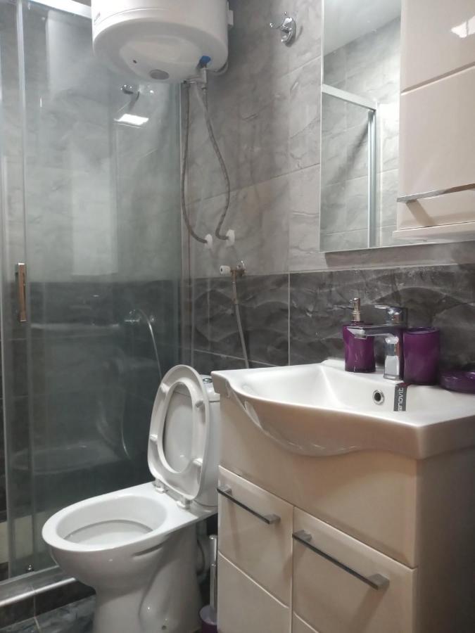 Apartament Lela Josanicka Banja Zewnętrze zdjęcie