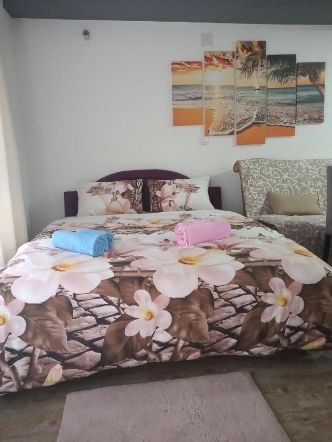 Apartament Lela Josanicka Banja Zewnętrze zdjęcie